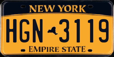 NY license plate HGN3119