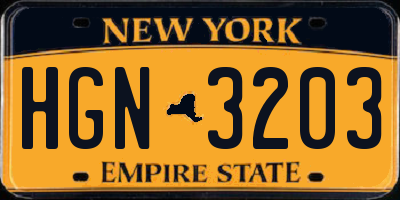 NY license plate HGN3203