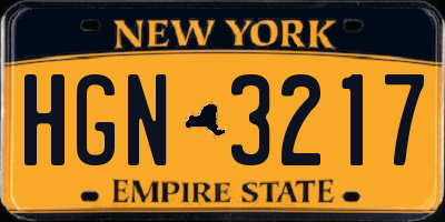 NY license plate HGN3217