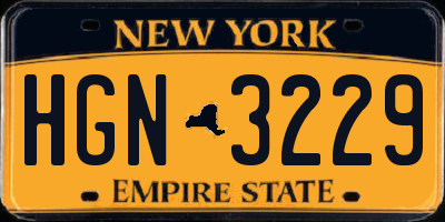 NY license plate HGN3229