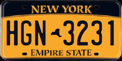 NY license plate HGN3231