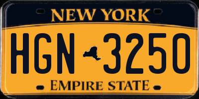 NY license plate HGN3250