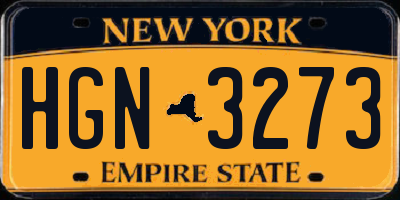 NY license plate HGN3273