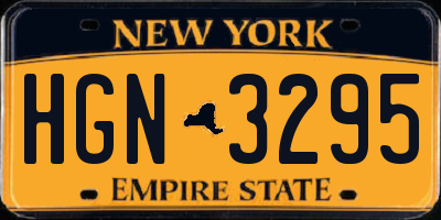 NY license plate HGN3295