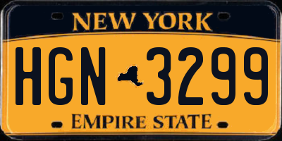 NY license plate HGN3299