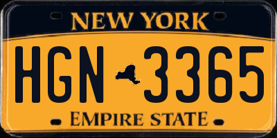 NY license plate HGN3365