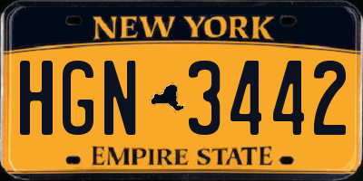 NY license plate HGN3442