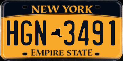 NY license plate HGN3491
