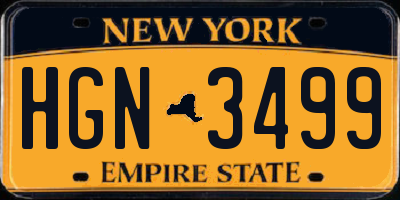 NY license plate HGN3499