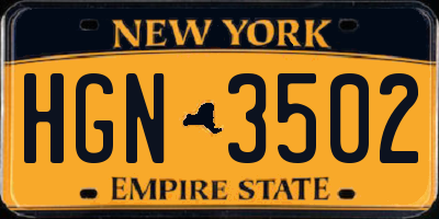 NY license plate HGN3502