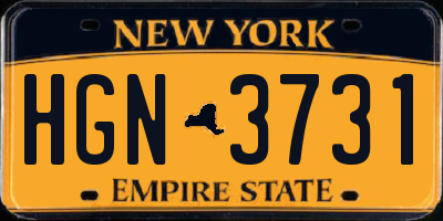 NY license plate HGN3731