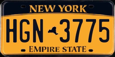 NY license plate HGN3775