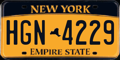 NY license plate HGN4229