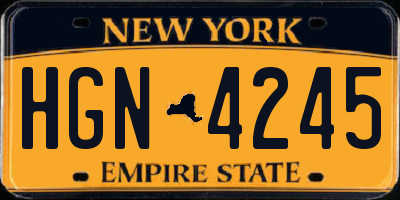 NY license plate HGN4245
