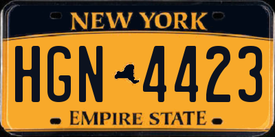 NY license plate HGN4423