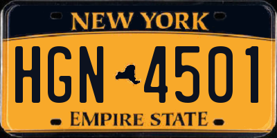 NY license plate HGN4501