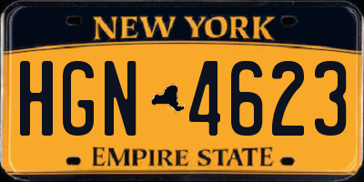 NY license plate HGN4623