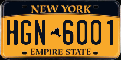 NY license plate HGN6001