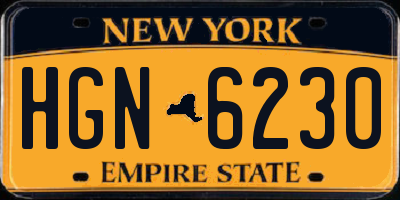 NY license plate HGN6230