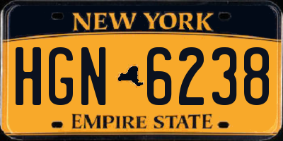 NY license plate HGN6238