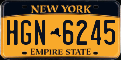 NY license plate HGN6245