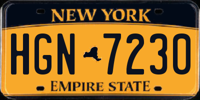 NY license plate HGN7230