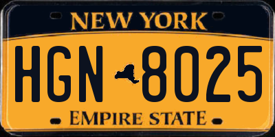 NY license plate HGN8025