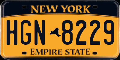 NY license plate HGN8229