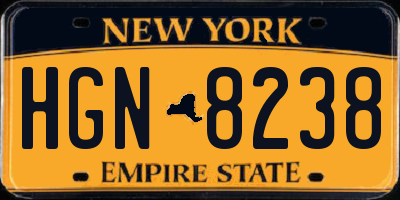 NY license plate HGN8238