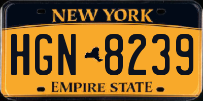 NY license plate HGN8239