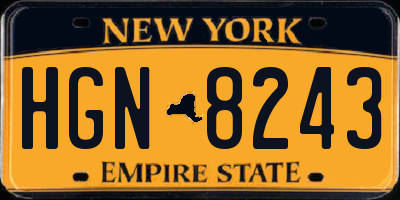 NY license plate HGN8243