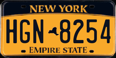 NY license plate HGN8254