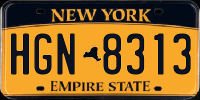 NY license plate HGN8313