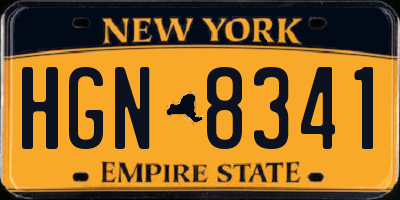 NY license plate HGN8341