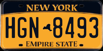 NY license plate HGN8493