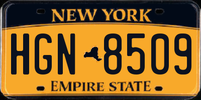 NY license plate HGN8509