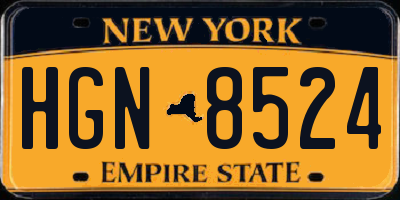 NY license plate HGN8524
