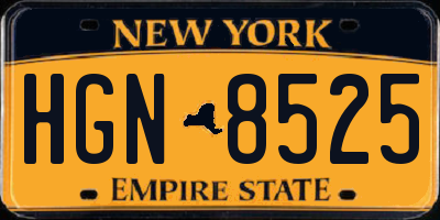 NY license plate HGN8525