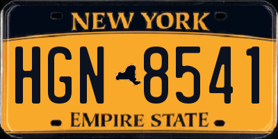 NY license plate HGN8541