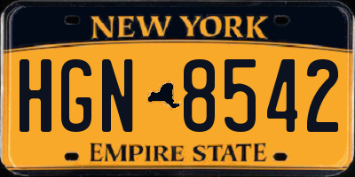 NY license plate HGN8542