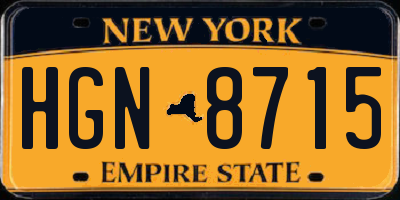 NY license plate HGN8715