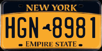 NY license plate HGN8981