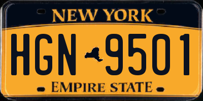 NY license plate HGN9501