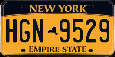 NY license plate HGN9529