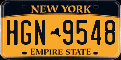 NY license plate HGN9548