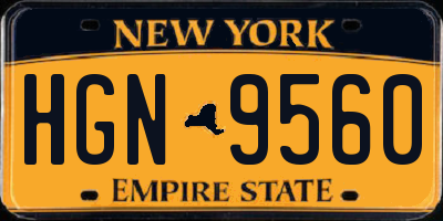 NY license plate HGN9560