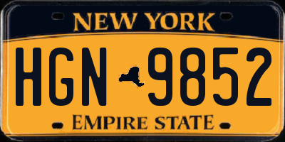 NY license plate HGN9852