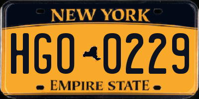 NY license plate HGO0229