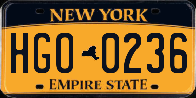 NY license plate HGO0236