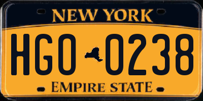 NY license plate HGO0238